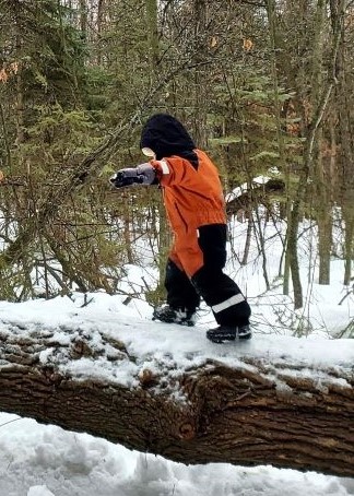 Child waling on downed tree stump in winter.